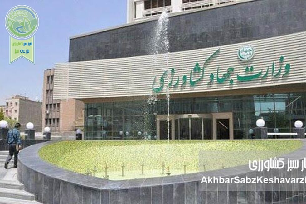 پشت پرده ابهامات مدیریتی در وزارت جهاد کشاورزی؛ سکوت تا کی؟