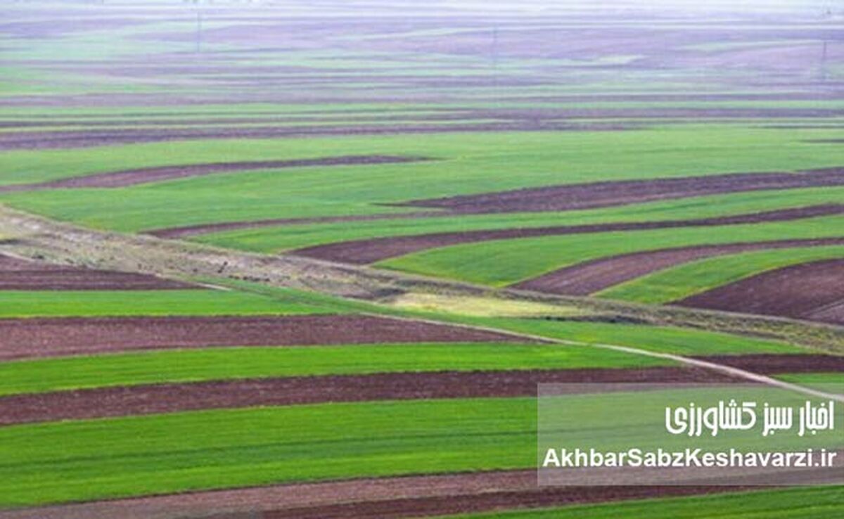 تحول در ثبت سند زمین‌ها؛ اجرای قانون الزام با شتاب می‌گیرد!