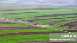 تحول در ثبت سند زمین‌ها؛ اجرای قانون الزام با شتاب می‌گیرد!