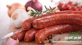 سوسیس و کالباس در رژیم غذایی متعادل؛ مصرف آگاهانه برای حفظ سلامت