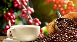 مصرف قهوه برای چه کسانی سم است؟