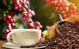 مصرف قهوه برای چه کسانی سم است؟