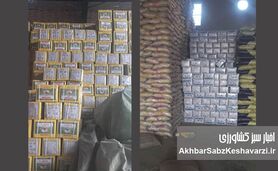 کشف ۲۶۰ تن برنج و ۱۲ تن چای قاچاق + جریمه ۲۲ میلیاردی!