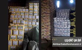 کشف ۲۶۰ تن برنج و ۱۲ تن چای قاچاق + جریمه ۲۲ میلیاردی!