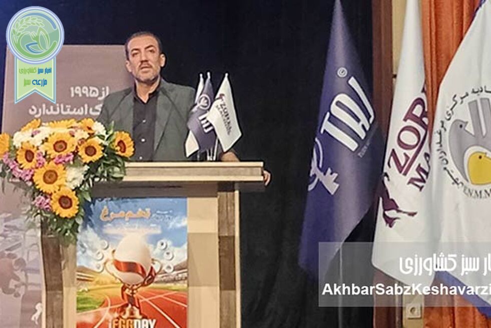 مرادی خبر داد: احداث «شهر تخم‌مرغ» با ۱۷۰ میلیارد تومان سرمایه‌گذاری اولیه
