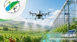 گروه کشاورزی نپکا؛ پیشرو در تحول کشاورزی مدرن