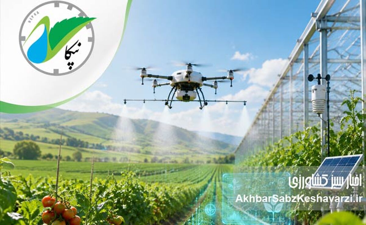 گروه کشاورزی نپکا؛ پیشرو در تحول کشاورزی مدرن
