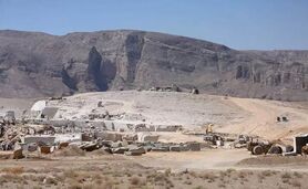 نهال‌های «الیمالات» عامدانه خشکیدند

