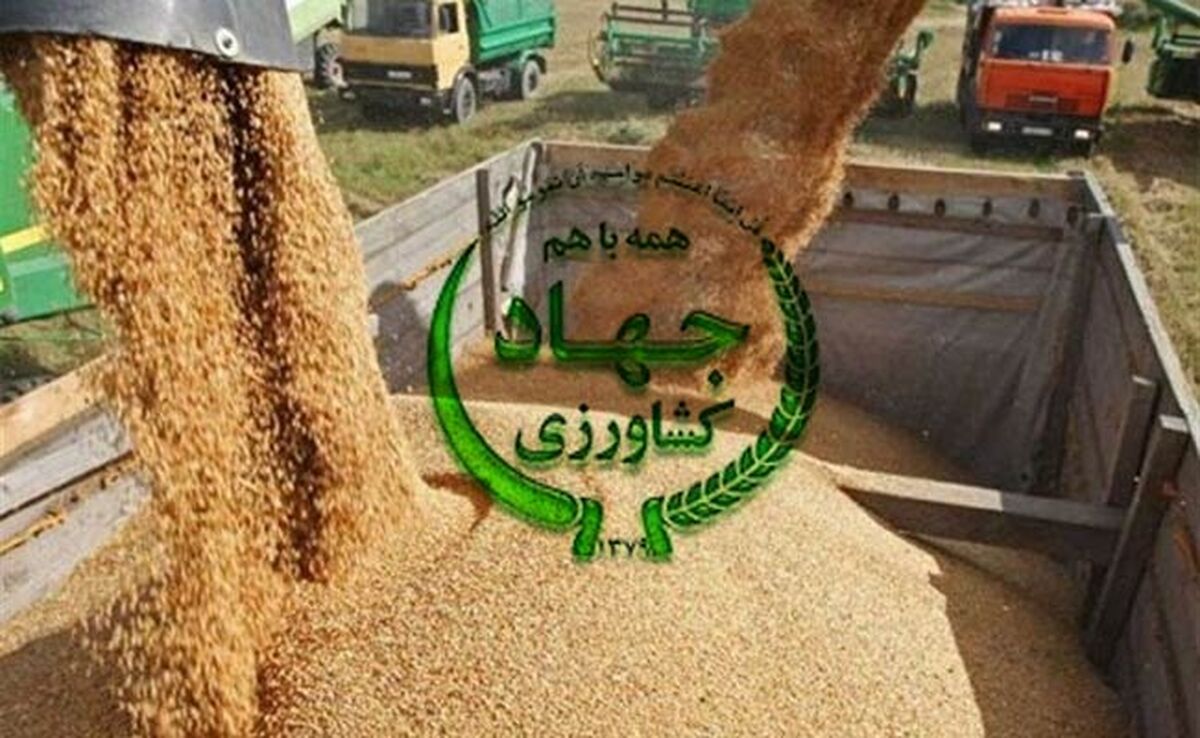 ۷۶ شرکت وارد کننده درباره کاهش ذخایر نهاده‌های دام و طیور هشدار دادند
