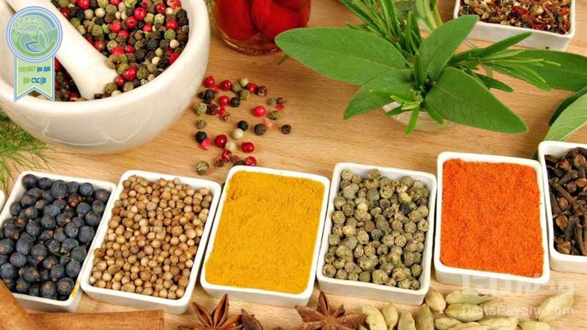 ادویه‌های خنک کننده بدن را بشناسید

