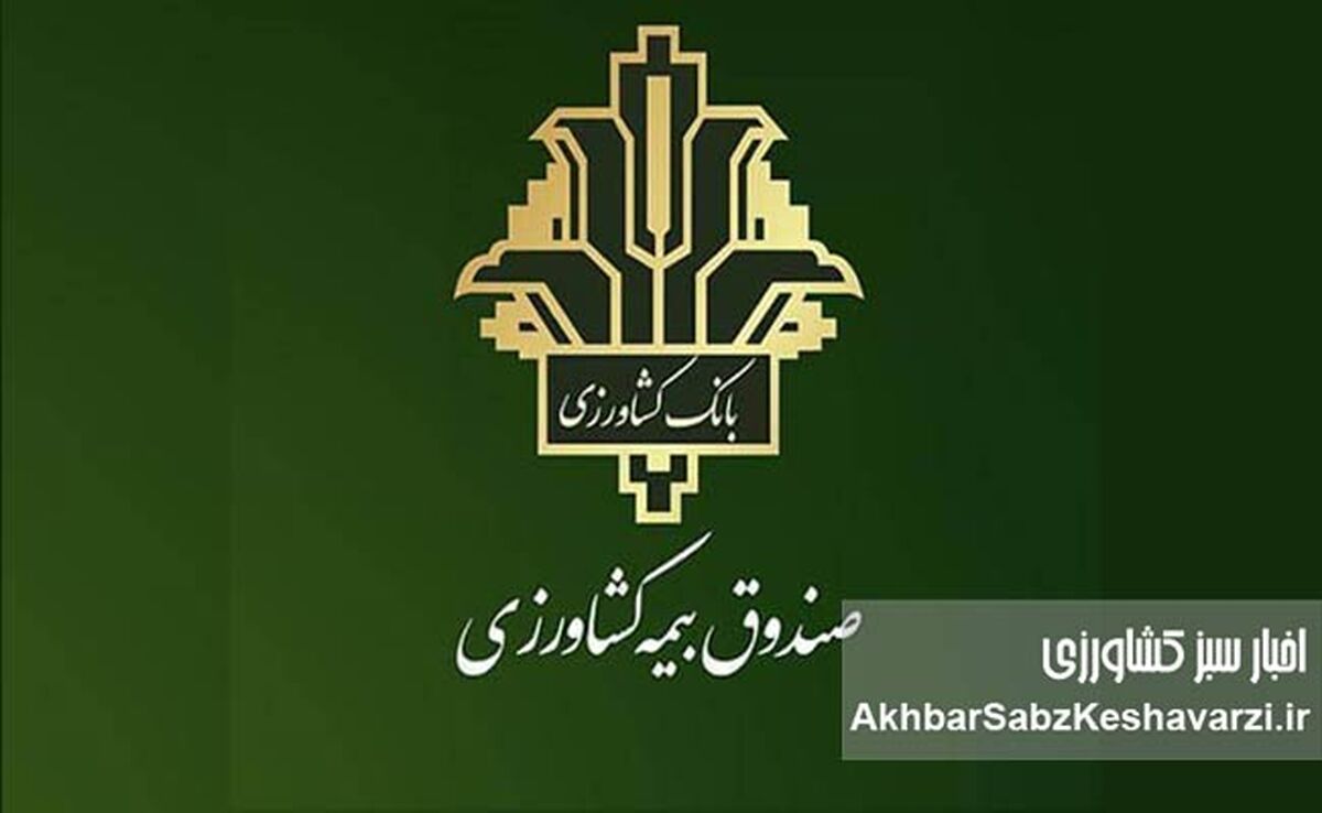 آغاز پایش خسارت بیمه کشاورزی ۱۴۰۵؛ تمرکز بر سرعت پرداخت غرامت