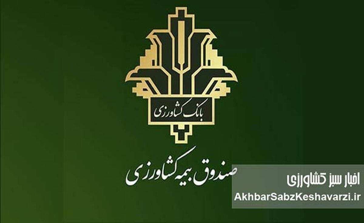 آغاز پایش خسارت بیمه کشاورزی ۱۴۰۵؛ تمرکز بر سرعت پرداخت غرامت