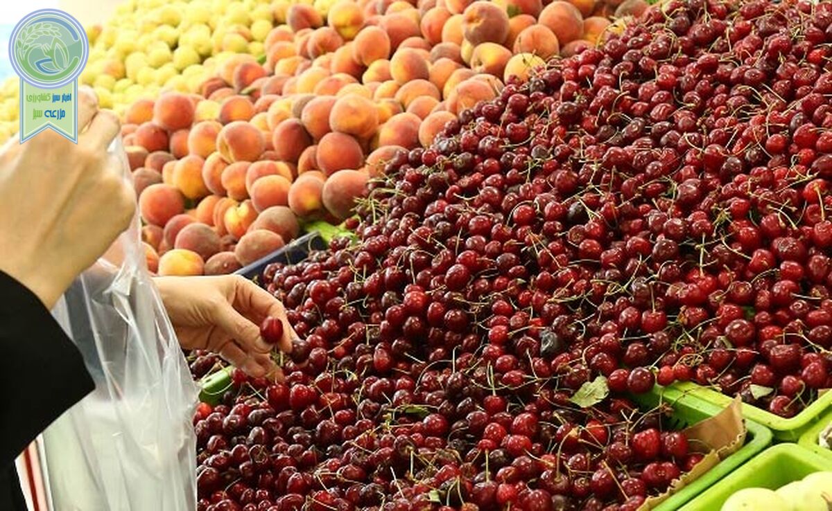 سود مجاز مغازه داران بر فاکتور میوه و سبزی ۳۵ درصد است

