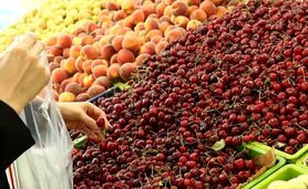 سود مجاز مغازه داران بر فاکتور میوه و سبزی ۳۵ درصد است

