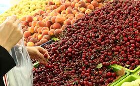 سود مجاز مغازه داران بر فاکتور میوه و سبزی ۳۵ درصد است

