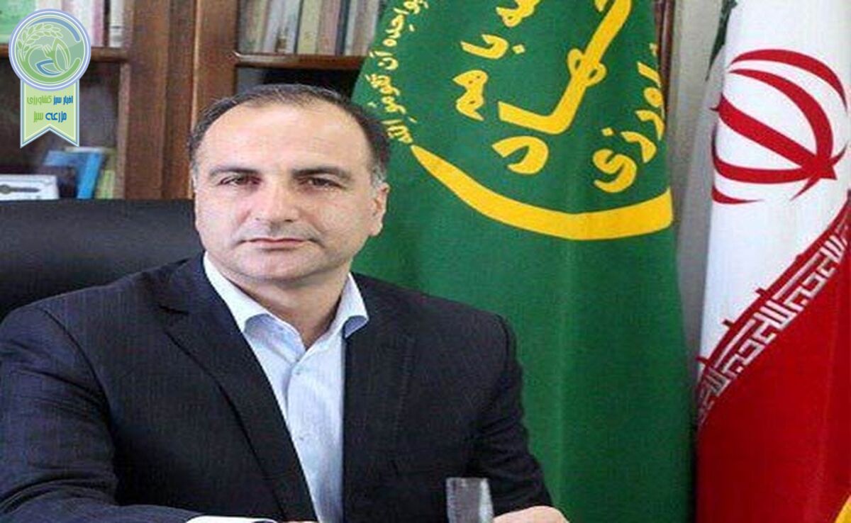 مجید آنجفی معاون امور زراعت وزارت جهادکشاورزی شد
