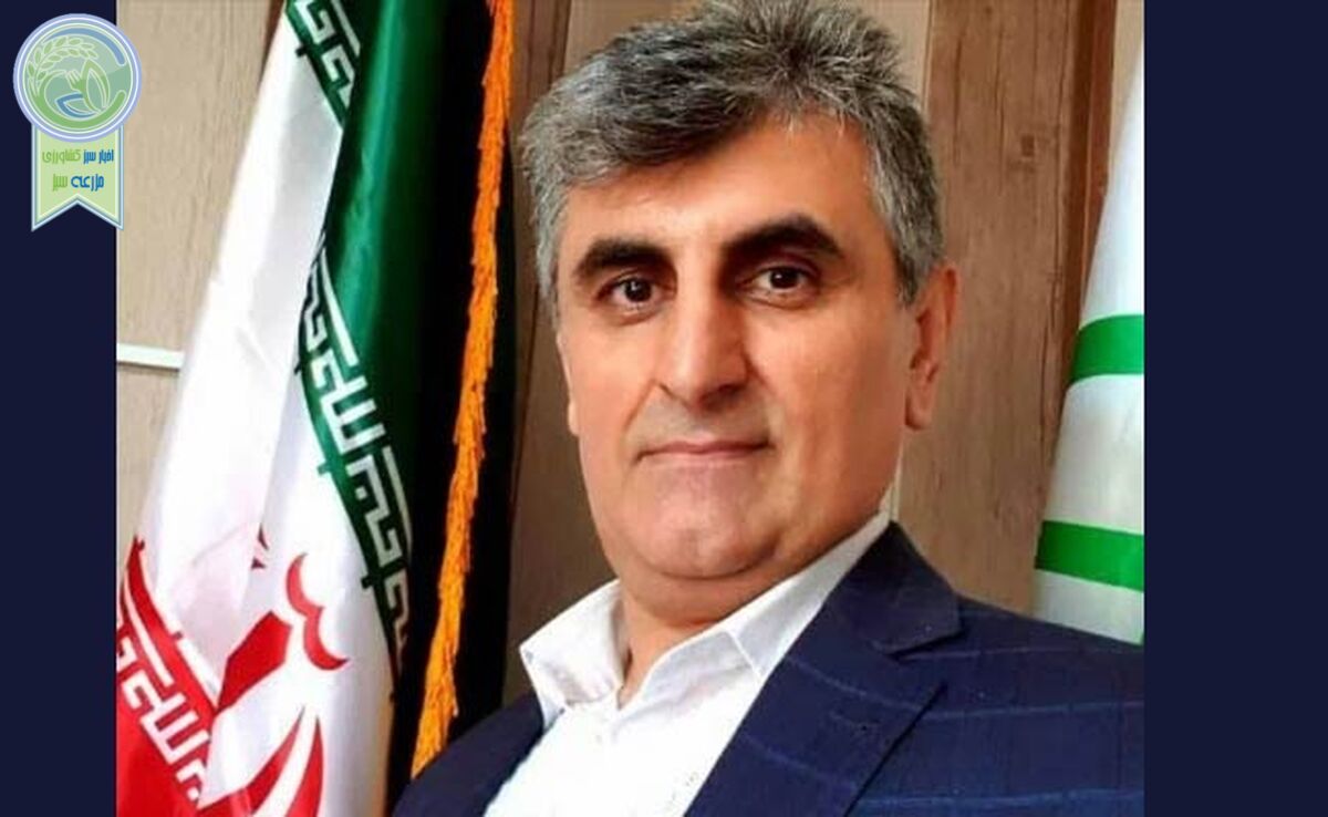 صندلی لرزان ببخشید طبقه ۱۶ یا باتلاق و برکه پر از تمساح

