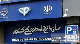 عدم صلاحیت رئیس سازمان دامپزشکی؛ نشانه‌ای از بحران مدیریتی در وزارت جهاد کشاورزی