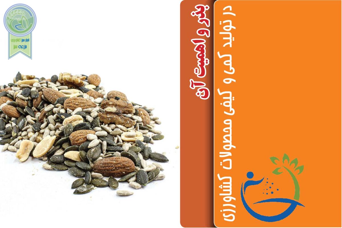 بذر و اهمیت آن در تولید کمی و کیفی محصولات کشاورزی

