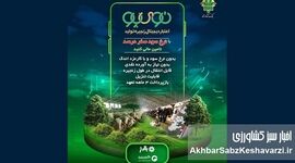 «نوی‌پو» بانک کشاورزی؛ سپر جدید امنیت غذایی در اقتصاد پرنوسان