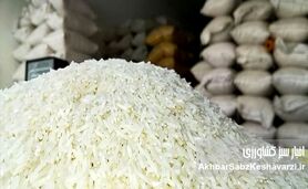برنج جهانی ارزان، اما برنج سفره ایرانی گران‌تر از همیشه