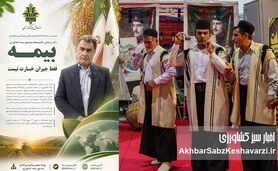 بیمه صرفاً ابزار جبران خسارت نیست؛ پیام مهم‌تری در دل دارد