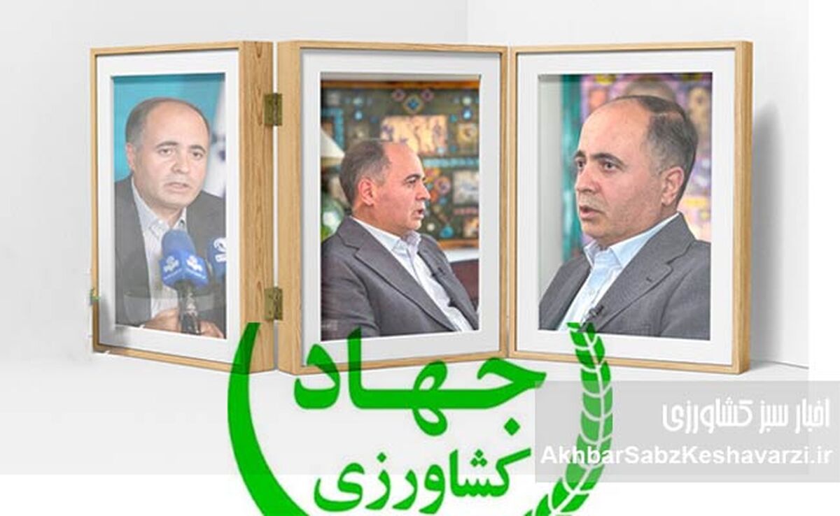 رییس جمهور: از تو گران کردن از من حمایت کردن؛ پشت پرده حمایت‌های پزشکیان از نوری قزلجه