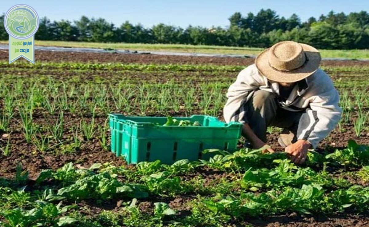 کشاورزی ارگانیک؛ رویکردی پایدار برای تغذیه سالم و حفظ محیط زیست