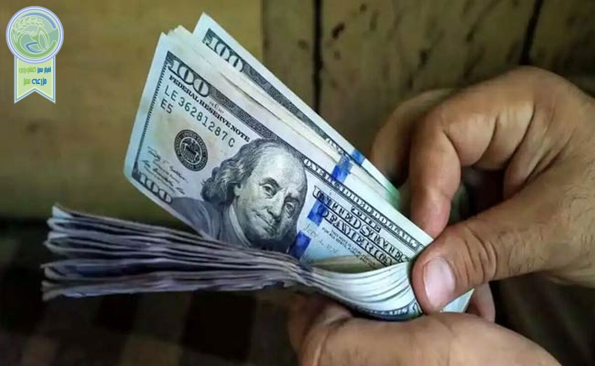 قیمت دلار تا کجا پیش‌می‌رود؟

