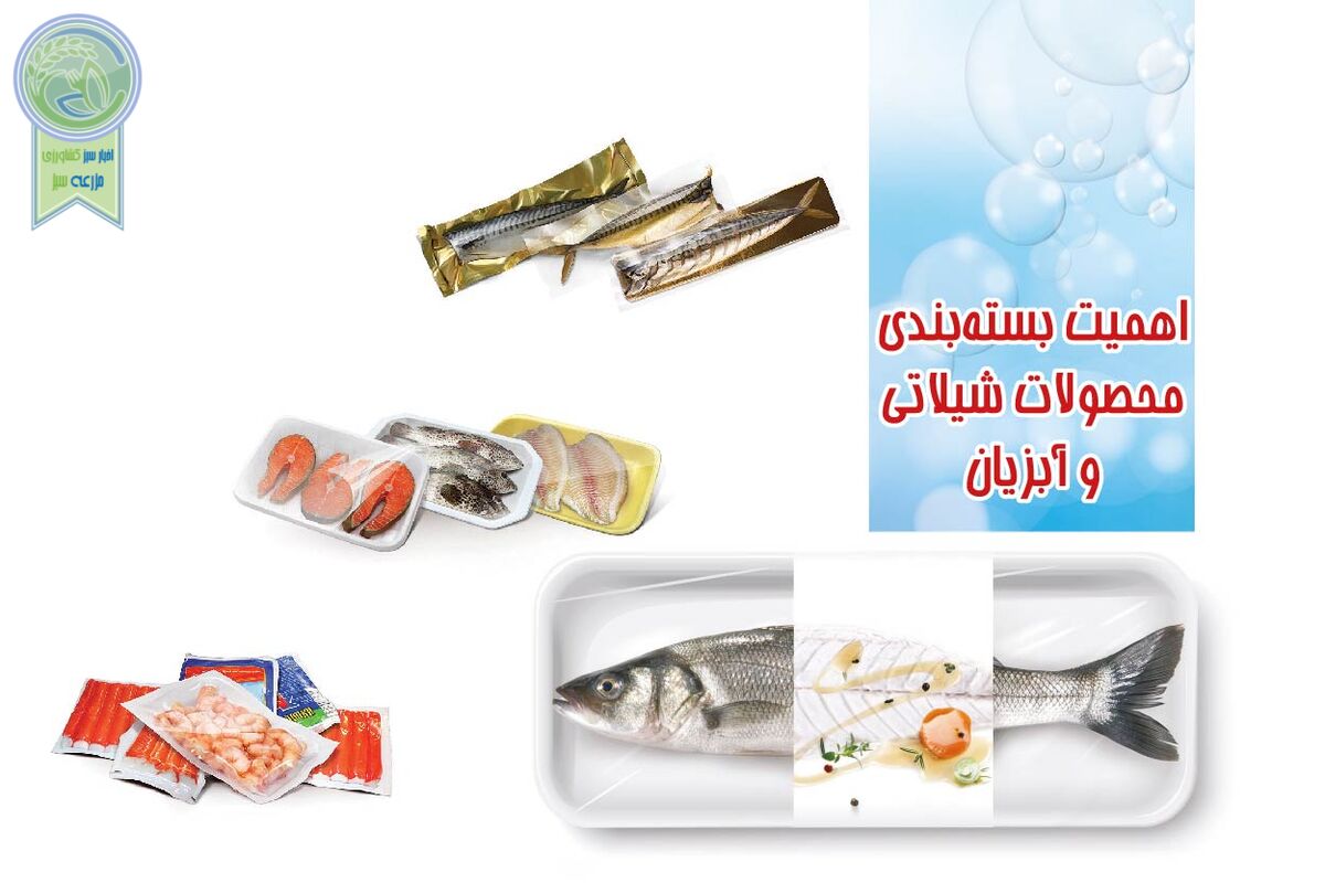 اهمیت بسته‌بندی محصولات شیلاتی و آبزیان

