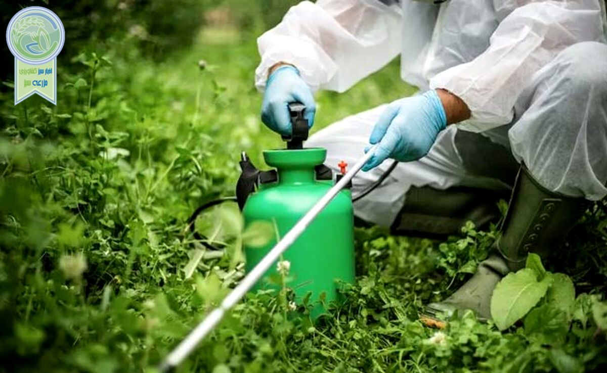 مهندس مهاجر: برخی از سموم وارداتی یا مواد اولیه وارداتی چین بی‌کیفیت و آشغال است

