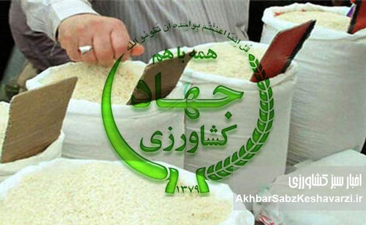 ارز ۲۸۵۰۰ تومانی برای واردکنندگان، برنج ۲۰۰ هزار تومانی برای مردم!