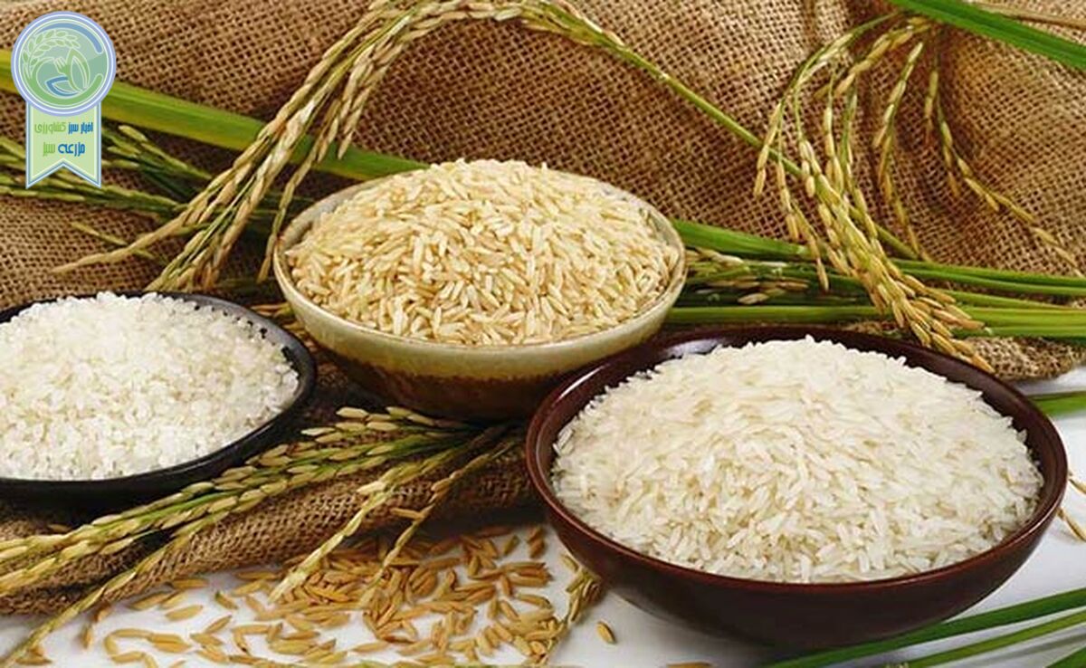 ثبت سفارش ۱۳۰ هزارتن برنج در ۲ ماهه سال جاری

