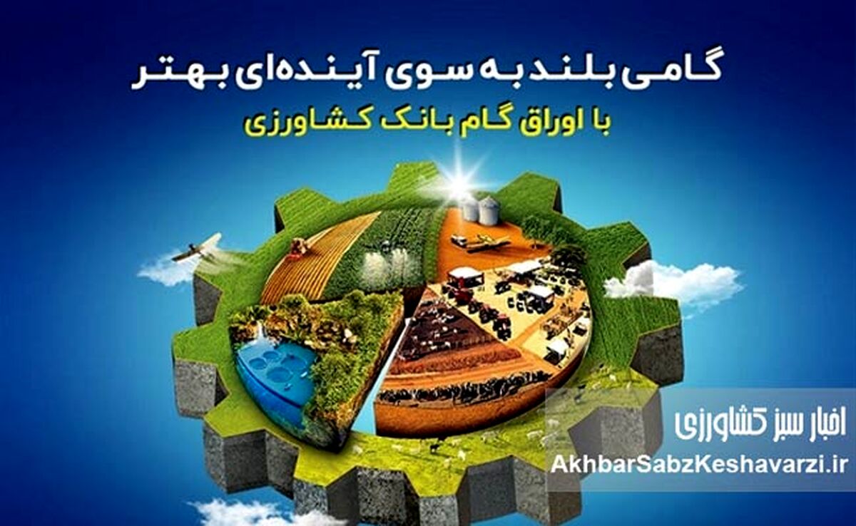 بانک کشاورزی پیشتاز تأمین مالی غیرتورمی شد