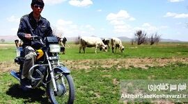  چگونه یک دوچرخ ۱۲۵ سی‌سی نجات‌دهنده کشاورزی شد؟