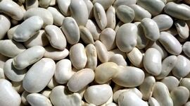 کمبود لوبیا سفید درپی دپوی 5 هزار تن حبوبات در گمرک

