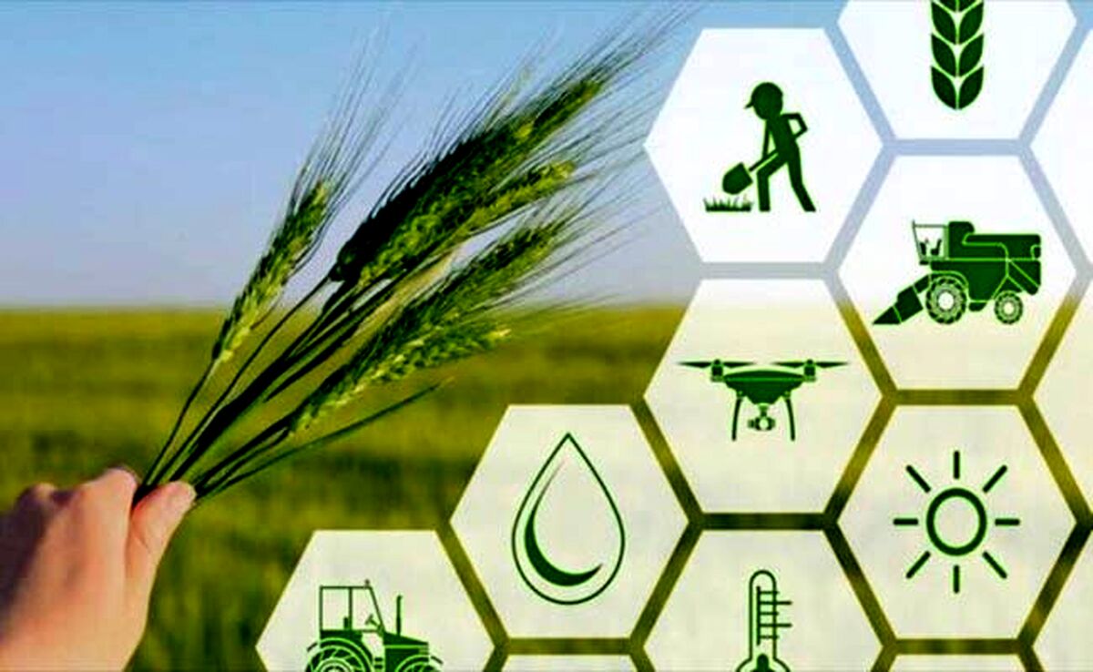 صندوق‌های حمایتی نمونه عینی تحقق شعار سرمایه‌گذاری برای تولید در کشاورزی
