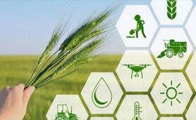 صندوق‌های حمایتی نمونه عینی تحقق شعار سرمایه‌گذاری برای تولید در کشاورزی
