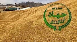 فساد در واردات نهاده‌های دامی؛ ورود قوه قضاییه+ ویدئو
