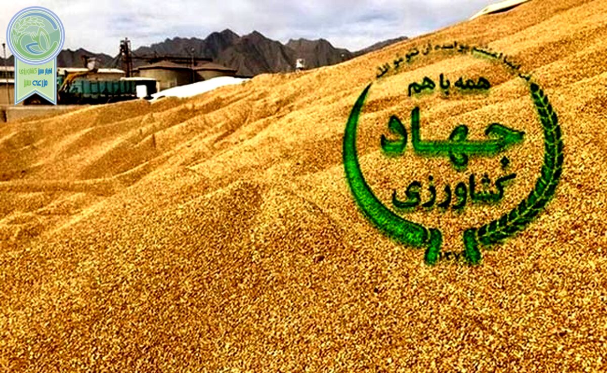 فساد در واردات نهاده‌های دامی؛ ورود قوه قضاییه+ ویدئو