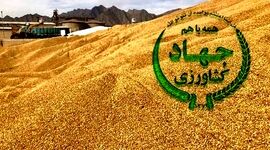 فساد در واردات نهاده‌های دامی؛ ورود قوه قضاییه+ ویدئو