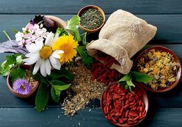 افزایش ۶۳ هزار هکتاری سطح زیرکشت گیاهان دارویی

