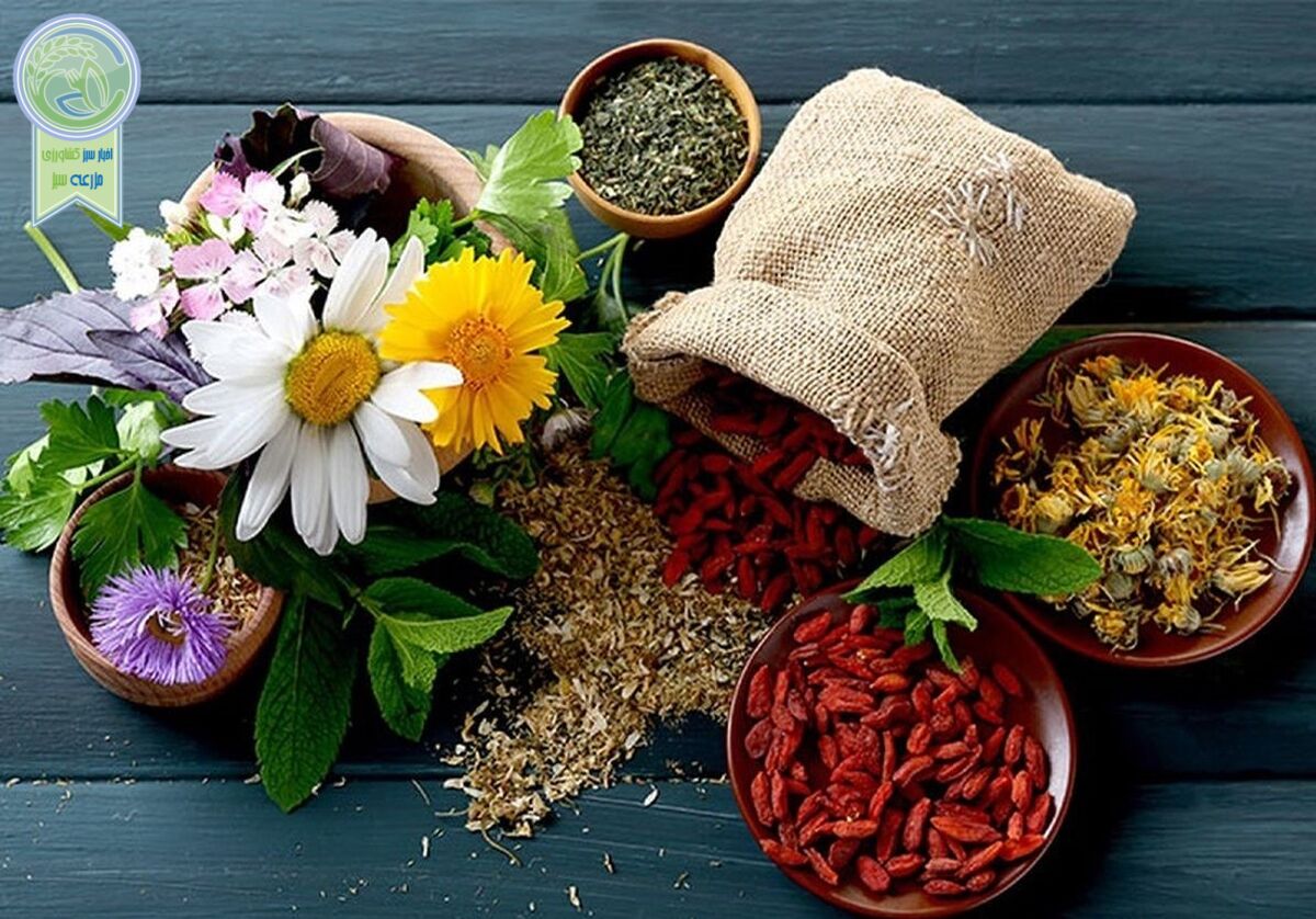 افزایش ۶۳ هزار هکتاری سطح زیرکشت گیاهان دارویی

