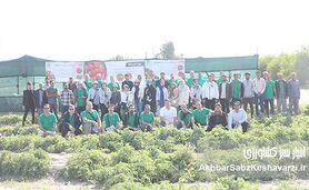 شرکت گل سم گرگان: پیشتاز تولید بذر هیبرید و دروازه صادرات جهانی