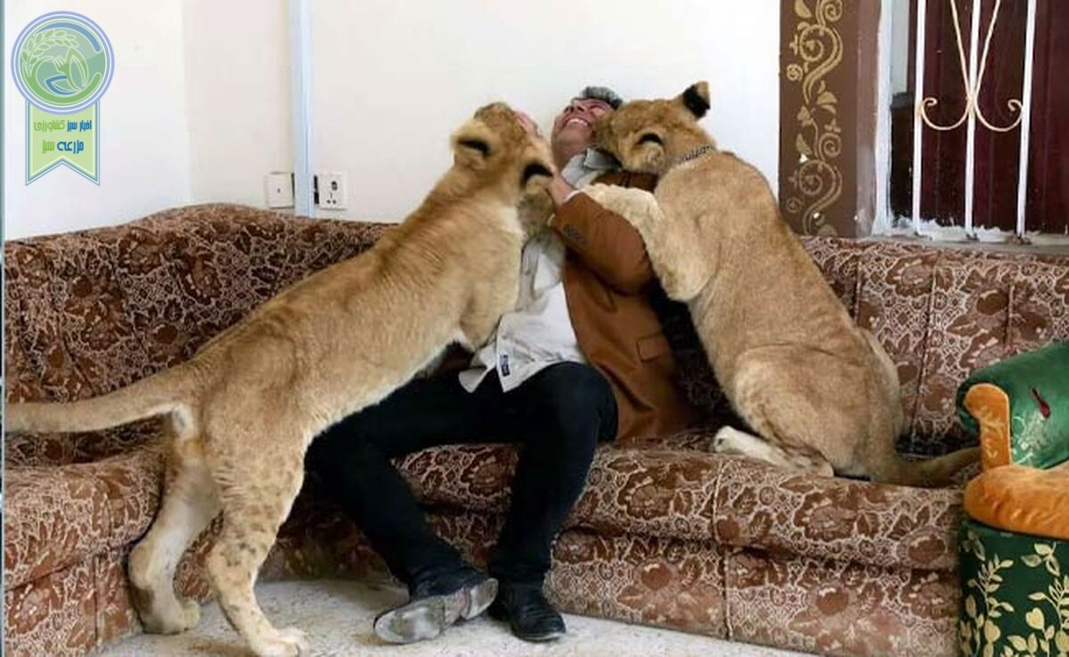 هشدار به کسانی حیوانات غیرمتعارف در منزل نگهداری می‌کنند!
