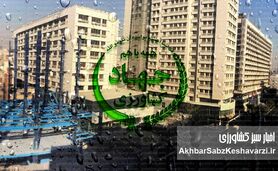 رسوایی بزرگ در وزارتخانه: مدیر امنیت غذایی محکوم اقتصادی بر مسند قدرت ماند!