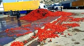هدررفت محصولات کشاورزی در نبود صنایع تبدیلی
