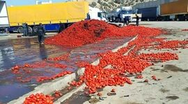 هدررفت محصولات کشاورزی در نبود صنایع تبدیلی
