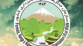 انتخابی تازه در راه خیابان مینی‌سیتی