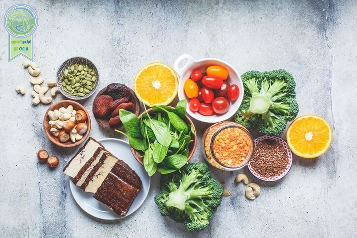 مصرف پروتئین برای افراد مبتلا به سرطان ضروری است


